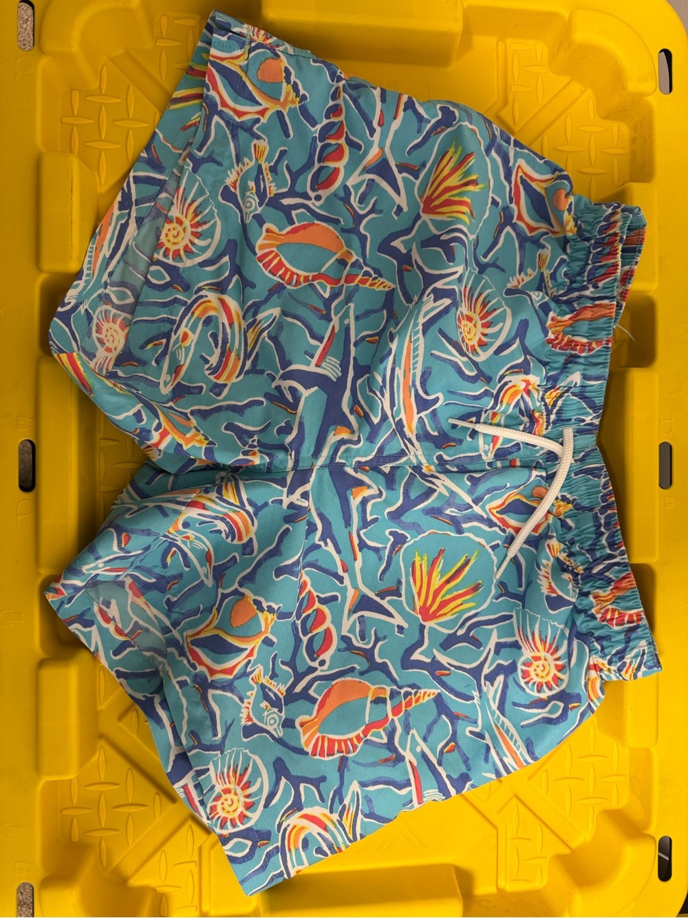 Chubbies Swim Shorts